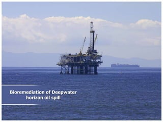 Bioremediation of Deepwater horizon oil spill 