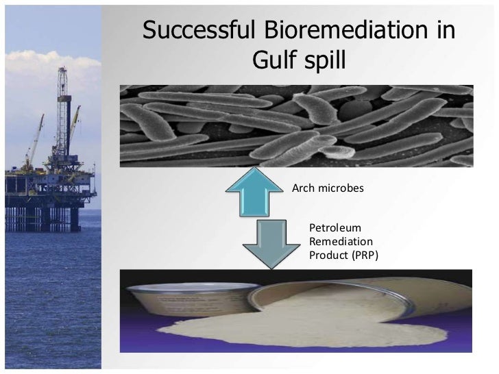 Bioremediation on Deep Horizon Oil Spill