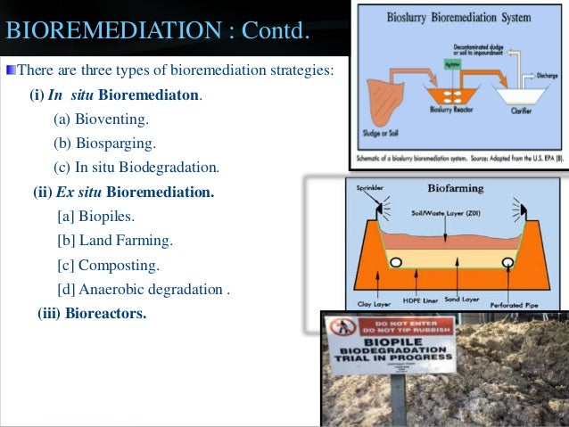 bioremediation and petroleum hydrocarbons essay Total petroleum hydrocarbon (tph) contamination consists of aliphatic in summary, various microbial communities can utilize aerobic or. bioremediation and petroleum hydrocarbons essay Total petroleum hydrocarbon (tph) contamination consists of aliphatic in summary, various microbial communities can utilize aerobic or.