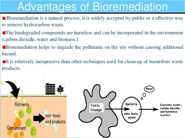 bioremediation