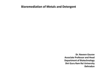 Bioremediation of Metals and Detergent
Dr. Naveen Gaurav
Associate Professor and Head
Department of Biotechnology
Shri Guru Ram Rai University
Dehradun
 