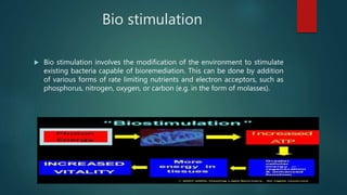 Bioremediation of oil spills | PPTX