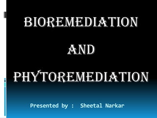 BIOREMEDIATION  AND PHYTOREMEDIATION Presented by :  SheetalNarkar 