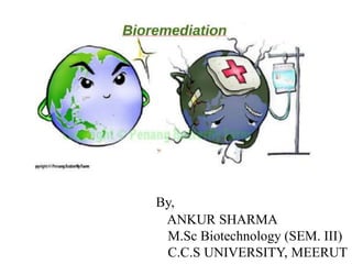 By,
ANKUR SHARMA
M.Sc Biotechnology (SEM. III)
C.C.S UNIVERSITY, MEERUT
 