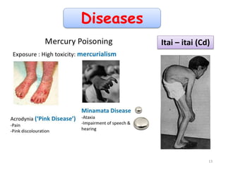 13
Itai – itai (Cd)
Diseases
 