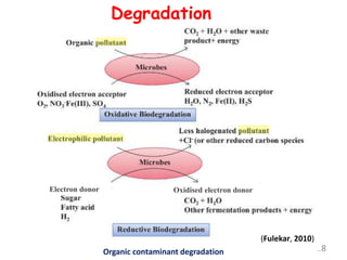 18
(Fulekar, 2010)
Electron donor
Organic contaminant degradation
Oxidised electron donor
Degradation
 