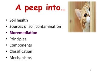 • Soil health
• Sources of soil contamination
• Bioremediation
• Principles
• Components
• Classification
• Mechanisms
2
 