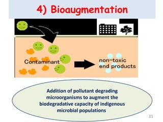 4) Bioaugmentation
Addition of pollutant degrading
microorganisms to augment the
biodegradative capacity of indigenous
microbial populations.
31
 