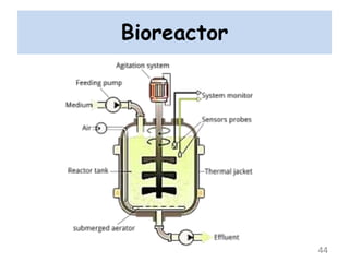Bioreactor
44
 