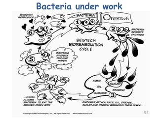 Bacteria under work
52
 