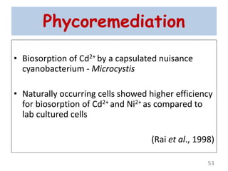 Phycoremediation
• Biosorption of Cd2+ by a capsulated nuisance
cyanobacterium - Microcystis
• Naturally occurring cells showed higher efficiency
for biosorption of Cd2+ and Ni2+ as compared to
lab cultured cells
(Rai et al., 1998)
53
 