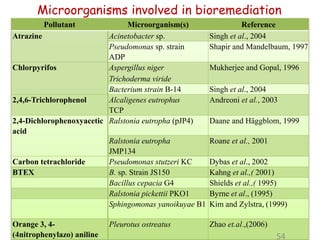 Pollutant Microorganism(s) Reference
Atrazine Acinetobacter sp. Singh et al., 2004
Pseudomonas sp. strain
ADP
Shapir and Mandelbaum, 1997
Chlorpyrifos Aspergillus niger
Trichoderma viride
Mukherjee and Gopal, 1996
Bacterium strain B-14 Singh et al., 2004
2,4,6-Trichlorophenol Alcaligenes eutrophus
TCP
Andreoni et al., 2003
2,4-Dichlorophenoxyacetic
acid
Ralstonia eutropha (pJP4) Daane and Häggblom, 1999
Ralstonia eutropha
JMP134
Roane et al., 2001
Carbon tetrachloride Pseudomonas stutzeri KC Dybas et al., 2002
BTEX B. sp. Strain JS150 Kahng et al.,( 2001)
Bacillus cepacia G4 Shields et al.,( 1995)
Ralstonia pickettii PKO1 Byrne et al., (1995)
Sphingomonas yanoikuyae B1 Kim and Zylstra, (1999)
Orange 3, 4-
(4nitrophenylazo) aniline
Pleurotus ostreatus Zhao et.al.,(2006)
54
Microorganisms involved in bioremediation
 