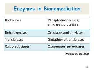 55
Hydrolases Phosphotriesterases,
amidases, proteases
Dehalogenases Cellulases and amylases
Transferases Glutathione transferases
Oxidoreductases Oxygenases, peroxidases
Enzymes in Bioremediation
(Whiteley and Lee, 2006)
 