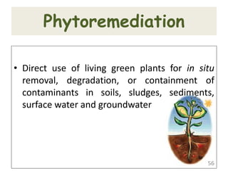 Phytoremediation
• Direct use of living green plants for in situ
removal, degradation, or containment of
contaminants in soils, sludges, sediments,
surface water and groundwater
56
 