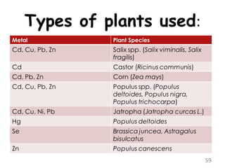 Types of plants used:
59
 