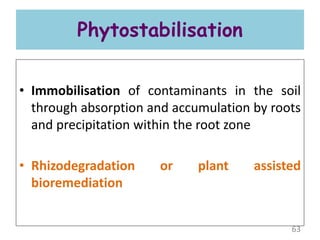 Phytostabilisation
• Immobilisation of contaminants in the soil
through absorption and accumulation by roots
and precipitation within the root zone
• Rhizodegradation or plant assisted
bioremediation
63
 