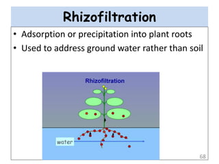 Rhizofiltration
• Adsorption or precipitation into plant roots
• Used to address ground water rather than soil
68
 