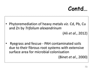 Contd…
• Phytoremediation of heavy metals viz. Cd, Pb, Cu
and Zn by Trifolium alexandrinum
(Ali et al., 2012)
• Ryegrass and fescue - PAH contaminated soils
due to their fibrous root systems with extensive
surface area for microbial colonisation
(Binet et al., 2000)
70
 