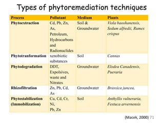 Types of phytoremediation techniques
Process Pollutant Medium Plants
Phytoextraction Cd, Pb, Zn,
As,
Petroleum,
Hydrocarbons
and
Radionuclides
Soil &
Groundwater
Viola baoshanensis,
Sedum alfredii, Rumex
crispus
Phytotranformation xenobiotic
substances
Soil Cannas
Phytodegradation DDT,
Expolsives,
waste and
Nitrates
Groundwater Elodea Canadensis,
Pueraria
Rhizofiltration Zn, Pb, Cd,
As
Groundwater Brassica juncea,
Phytostabilization
(Immobilization)
Cu, Cd, Cr,
Ni,
Pb, Zn
Soil Anthyllis vulneraria,
Festuca arvernensis
71
(Macek, 2000)
 