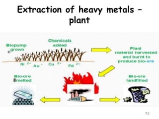 Extraction of heavy metals –
plant
72
 