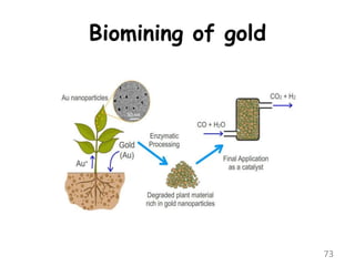Biomining of gold
73
 