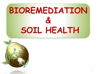 BIOREMEDIATION
&
SOIL HEALTH
1
 