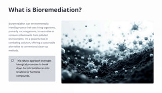 What is Bioremediation?
Bioremediation isan environmentally
friendly process that uses living organisms,
primarily microorganisms, to neutralise or
remove contaminants from polluted
environments. It's a powerful tool in
combating pollution, offering a sustainable
alternative to conventional clean-up
methods.
This natural approach leverages
biological processes to break
down harmful substances into
less toxic or harmless
compounds.
 
