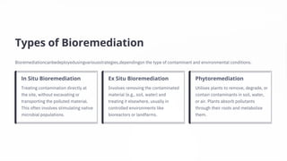Types of Bioremediation
Treating contamination directly at
the site, without excavating or
transporting the polluted material.
This often involves stimulating native
microbial populations.
Involves removing the contaminated
material (e.g., soil, water) and
treating it elsewhere, usually in
controlled environments like
bioreactors or landfarms.
Bioremediationcanbedeployedusingvariousstrategies,dependingon the type of contaminant and environmental conditions.
Utilises plants to remove, degrade, or
contain contaminants in soil, water,
or air. Plants absorb pollutants
through their roots and metabolise
them.
In Situ Bioremediation Ex Situ Bioremediation Phytoremediation
 
