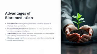Advantages of
Bioremediation
Cost-effective:Generally lessexpensivethan traditional physical or
chemical clean-upmethods.
Environmentally friendly: Reduces reliance on harsh chemicals and
minimises ecological disturbance.
Sustainable: Utilises natural processes and can often be conducted on-
site, reducing transport costs and emissions.
Minimises waste: Transforms contaminants rather than simply moving
them to another location.
 