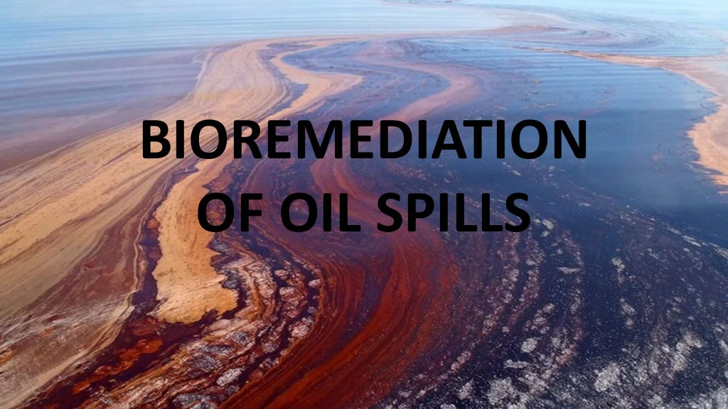 Bio remediation of Oil Spills
