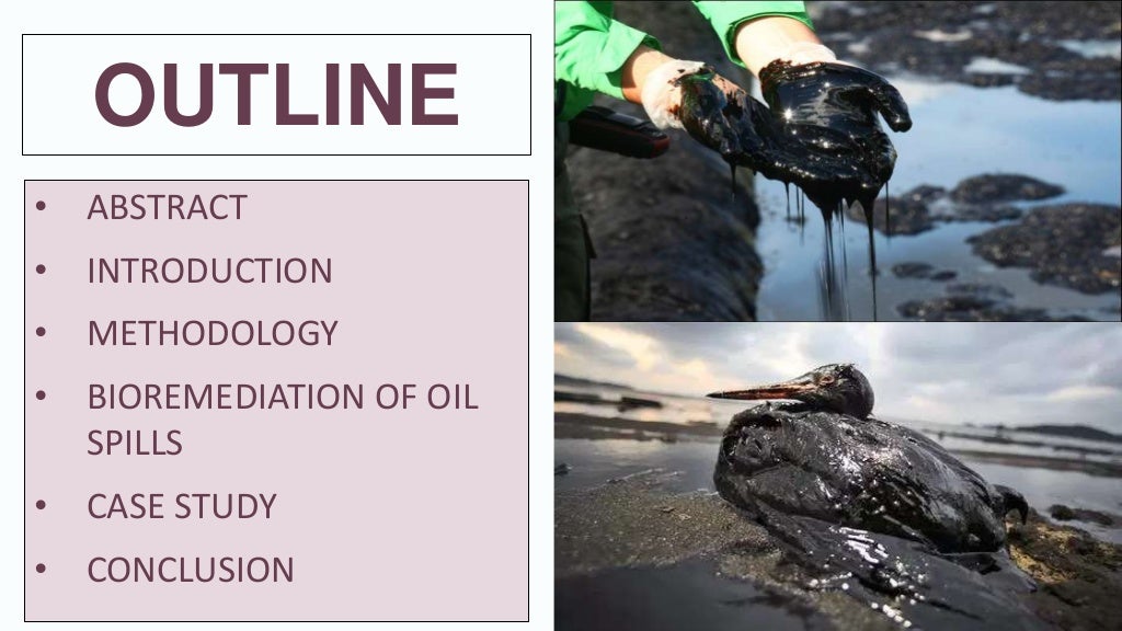 Bio remediation of Oil Spills