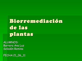 Biorremediación de las plantas ALUMNOS: Barrera Ana Luz Seledón Romina FECHA:21_06_11  