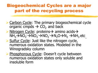 Biogeochemical Cycles are a major
part of the recycling process
 Carbon Cycle: The primary biogeochemical cycle
organic cmpds  CO2 and back
 Nitrogen Cycle: proteins amino acids
NH3NO2
-NO3
-NO2
-N2ON2 NH3 etc_
 Sulfur Cycle: Just like the nitrogen cycle,
numerous oxidation states. Modeled in the
Winogradsky column
 Phosphorous Cycle: Doesn’t cycle between
numerous oxidation states only soluble and
insoluble form
 