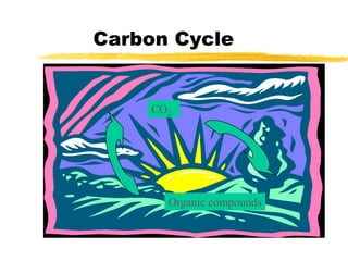 Carbon Cycle
CO2
Organic compounds
 