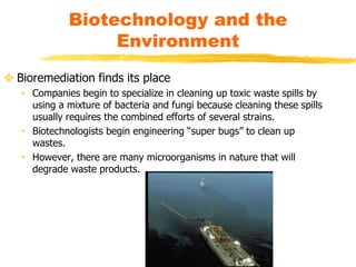  Bioremediation finds its place
• Companies begin to specialize in cleaning up toxic waste spills by
using a mixture of bacteria and fungi because cleaning these spills
usually requires the combined efforts of several strains.
• Biotechnologists begin engineering “super bugs” to clean up
wastes.
• However, there are many microorganisms in nature that will
degrade waste products.
Biotechnology and the
Environment
 