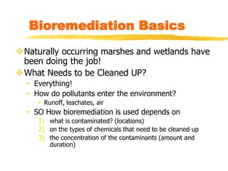 Bioremediation Basics
Naturally occurring marshes and wetlands have
been doing the job!
What Needs to be Cleaned UP?
• Everything!
• How do pollutants enter the environment?
• Runoff, leachates, air
• SO How bioremediation is used depends on
1) what is contaminated? (locations)
2) on the types of chemicals that need to be cleaned up
3) the concentration of the contaminants (amount and
duration)
 