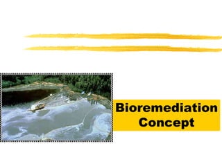 Bioremediation
Concept
 