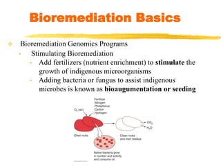  Bioremediation Genomics Programs
• Stimulating Bioremediation
• Add fertilizers (nutrient enrichment) to stimulate the
growth of indigenous microorganisms
• Adding bacteria or fungus to assist indigenous
microbes is known as bioaugumentation or seeding
Bioremediation Basics
 