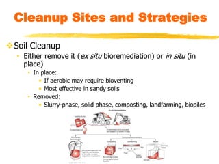 Cleanup Sites and Strategies
Soil Cleanup
• Either remove it (ex situ bioremediation) or in situ (in
place)
• In place:
• If aerobic may require bioventing
• Most effective in sandy soils
• Removed:
• Slurry-phase, solid phase, composting, landfarming, biopiles
 