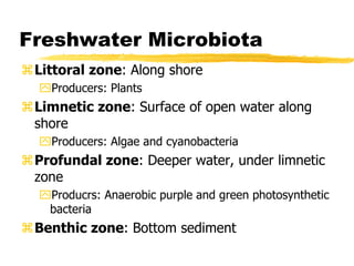 Freshwater Microbiota
Littoral zone: Along shore
Producers: Plants
Limnetic zone: Surface of open water along
shore
Producers: Algae and cyanobacteria
Profundal zone: Deeper water, under limnetic
zone
Producrs: Anaerobic purple and green photosynthetic
bacteria
Benthic zone: Bottom sediment
 