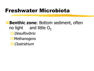 Freshwater Microbiota
Benthic zone: Bottom sediment, often
no light and little O2
Desulfovibrio
Methanogens
Clostridrium
 