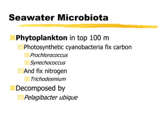 Seawater Microbiota
Phytoplankton in top 100 m
Photosynthetic cyanobacteria fix carbon
Prochlorococcus
Synechococcus
And fix nitrogen
Trichodesmium
Decomposed by
Pelagibacter ubique
 