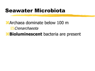 Seawater Microbiota
Archaea dominate below 100 m
Crenarchaeota
Bioluminescent bacteria are present
 