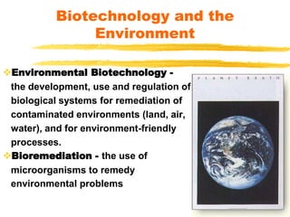 Environmental Biotechnology -
the development, use and regulation of
biological systems for remediation of
contaminated environments (land, air,
water), and for environment-friendly
processes.
Bioremediation - the use of
microorganisms to remedy
environmental problems
Biotechnology and the
Environment
 
