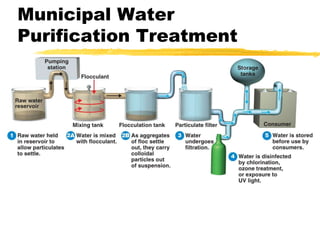 Municipal Water
Purification Treatment
 