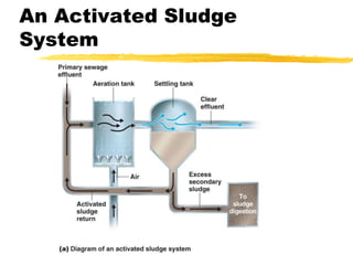 An Activated Sludge
System
 