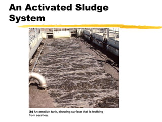 An Activated Sludge
System
 
