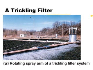 A Trickling Filter
 