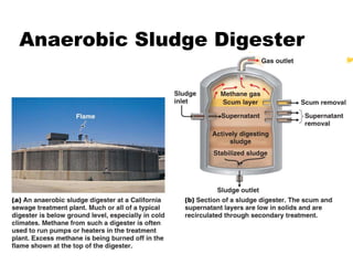 Anaerobic Sludge Digester
 