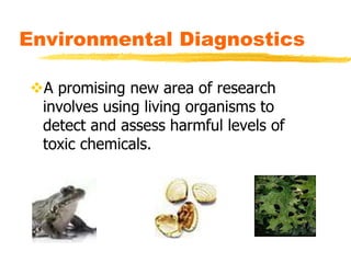 Environmental Diagnostics
A promising new area of research
involves using living organisms to
detect and assess harmful levels of
toxic chemicals.
 